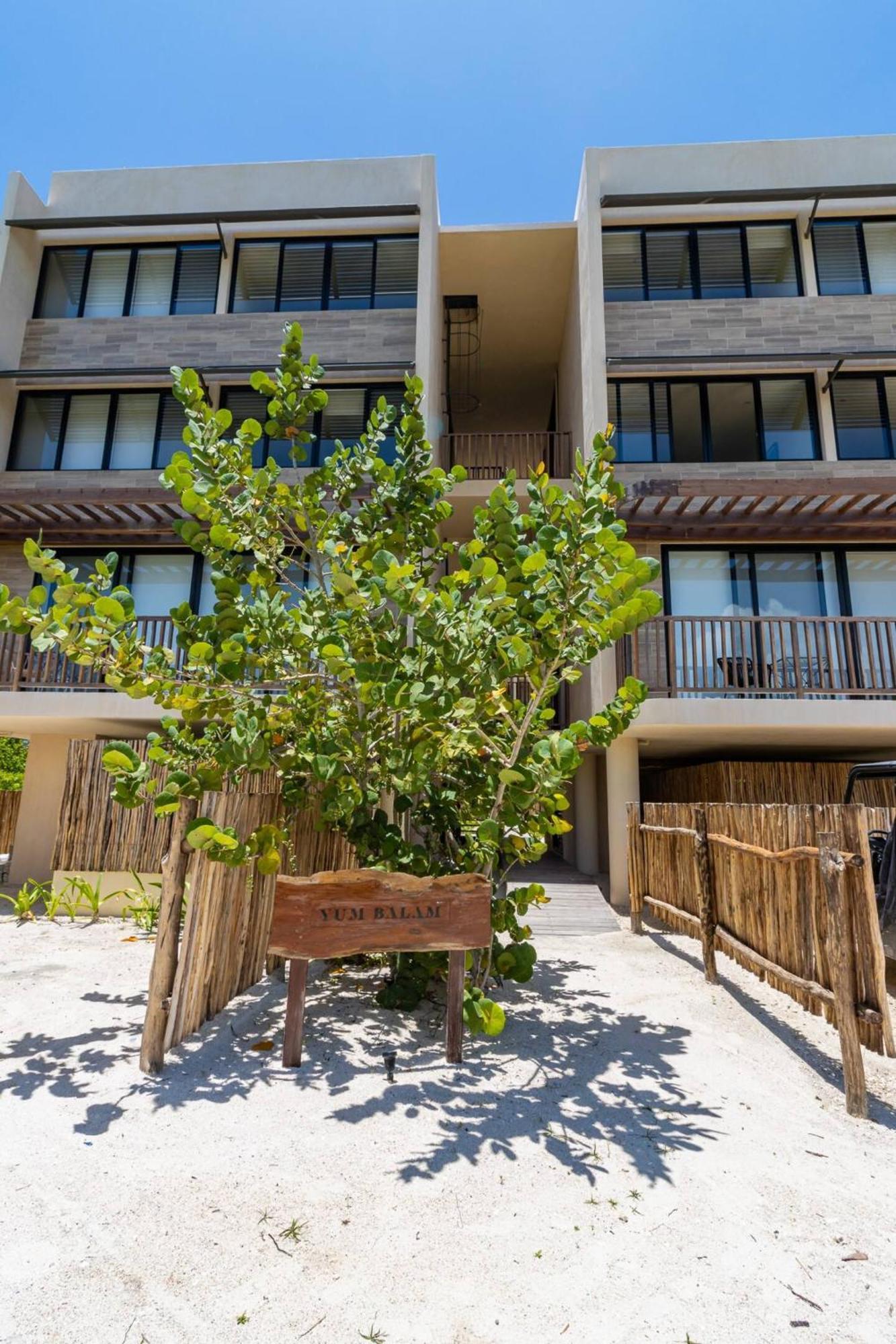 Pool View Loft Steps From The Ocean In Punta Cocos - C101 Ξενοδοχείο Isla Holbox Εξωτερικό φωτογραφία